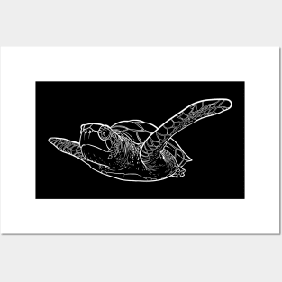 Marine Turtle, wildlife, animal rescue Posters and Art